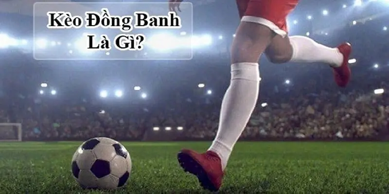 Lời khuyên thực tế