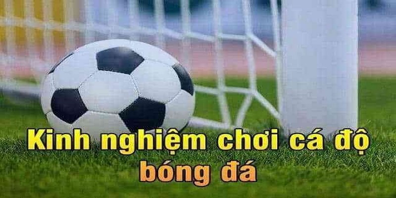 Bí kíp soi kèo bóng đá từ cao thủ