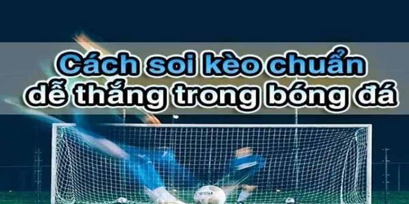 Win55 | Chia Sẻ Soi Kèo Bóng Đá Từ Các Chuyên Gia 