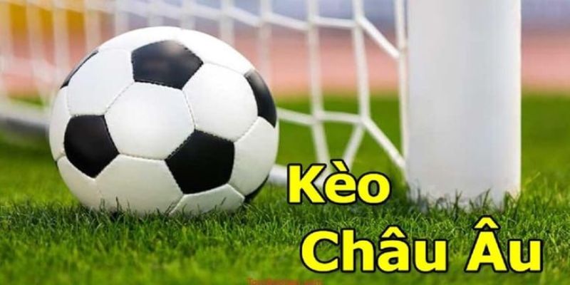 Các tỷ lệ kèo bóng đá phổ biến nên nắm bắt